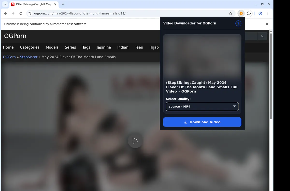 Ogporn Video Downloader browser extension screenshot 3